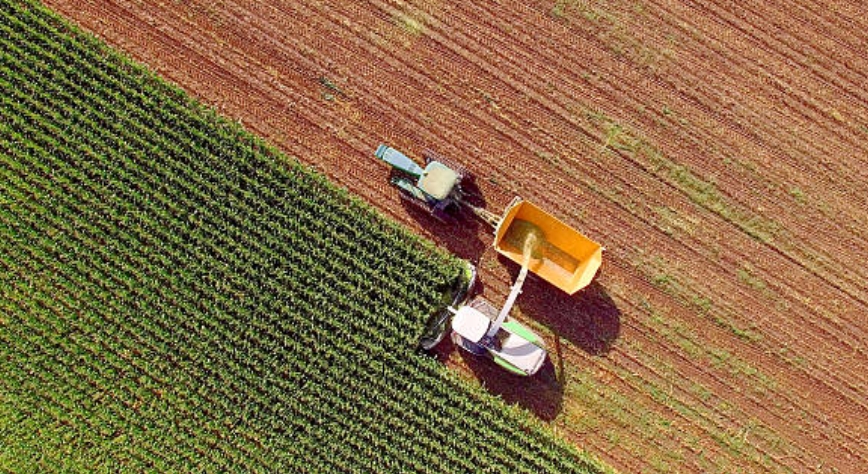 Agricultural and food machinery